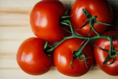 Vine Tomatoes